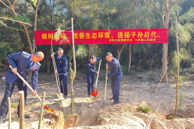 福建惠安：学雷锋惠春风 “税务蓝”在行动_fororder_图片2