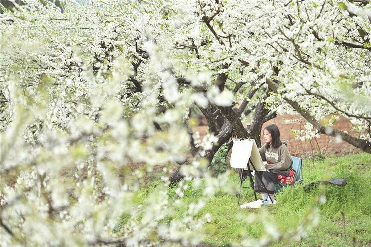 多彩贵州 百花争艳_fororder_9b04555b-fe4f-4637-95ce-8a41445bea37