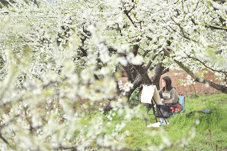 多彩贵州 百花争艳_fororder_9b04555b-fe4f-4637-95ce-8a41445bea37