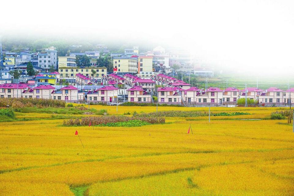 德宏州高质量推进现代化边境幸福村建设_fororder_38d