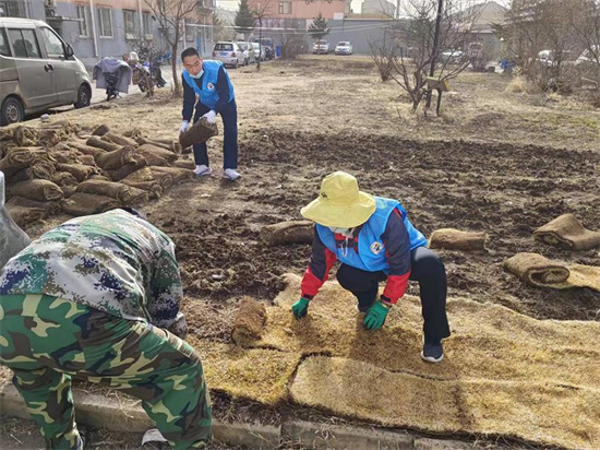 延吉市长林社区为无物业小区裸露土地披上“有氧净化衣”_fororder_LOCAL16818837962319AKDXKM4NB