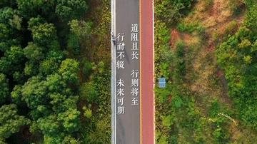 微视频丨大道同行
