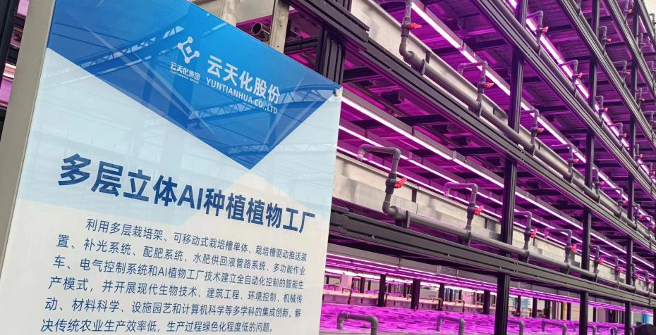 有一种叫云南的生活|“遇见云花·邂逅彩虹”网络大V走进云天化_fororder_4