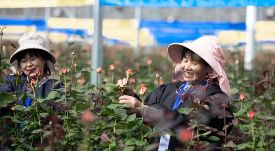 有一种叫云南的生活|“遇见云花·邂逅彩虹”网络大V走进云天化_fororder_2