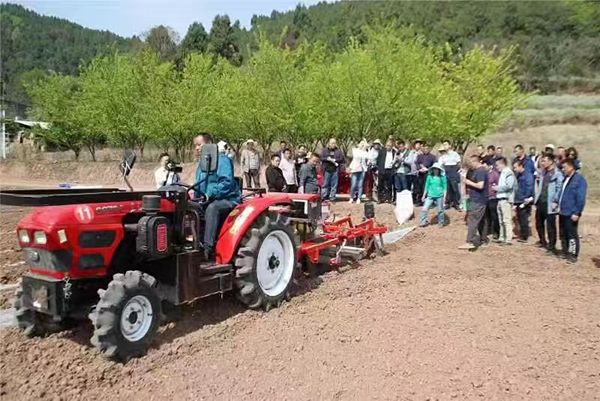 简阳：全程机械化播种配套新技术 助力花生产业高质量发展_fororder_新技术播种花生-供图-简阳市融媒体中心