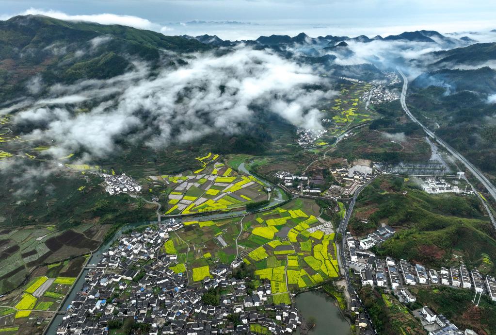 安徽黄山：雨后古村春色美