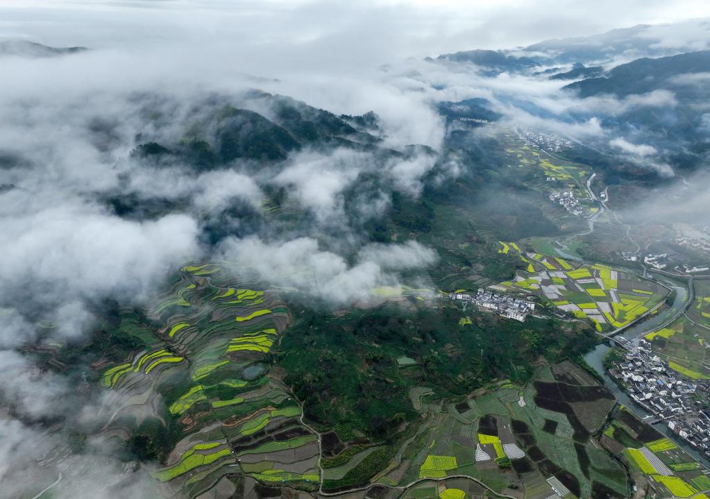 安徽黄山：雨后古村春色美