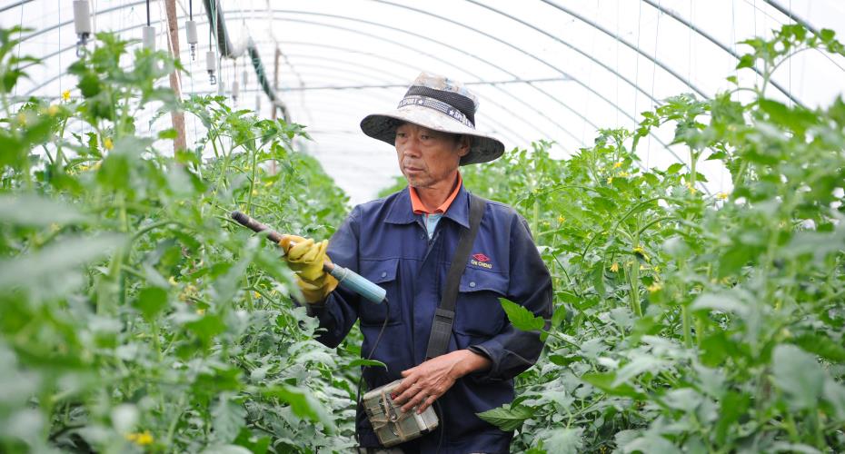 云南楚雄：“四轮驱动”促农持续增收_fororder_1