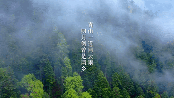 微视频丨大道同行