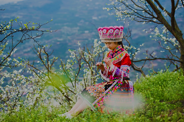 泸州叙永县：做强“赏花经济” 促进文旅消费全面加速回暖_fororder_叙永县赤水镇乌蒙花海（魏廷华摄影）-(1)
