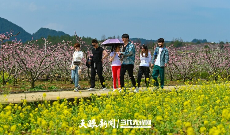 贵阳永乐：灼灼桃花笑春风_fororder_微信图片_20230324082449