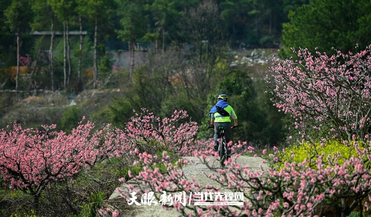 贵阳永乐：灼灼桃花笑春风_fororder_微信图片_20230324082509