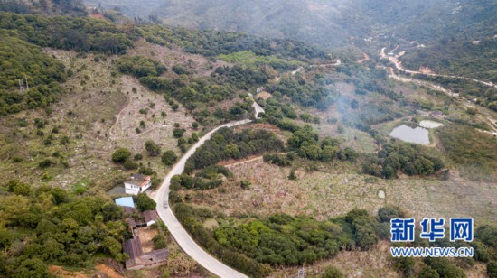 【滚动新闻】【地市 福州】漳州长泰：铺进心坎的水泥路
