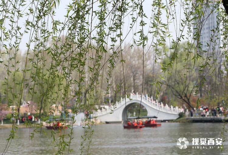 兴庆宫公园花如海 人似潮