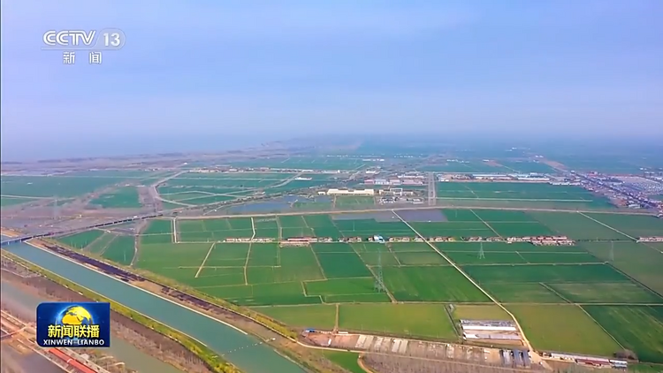 新思想引领新征程丨夯基固本 加快建设农业强国