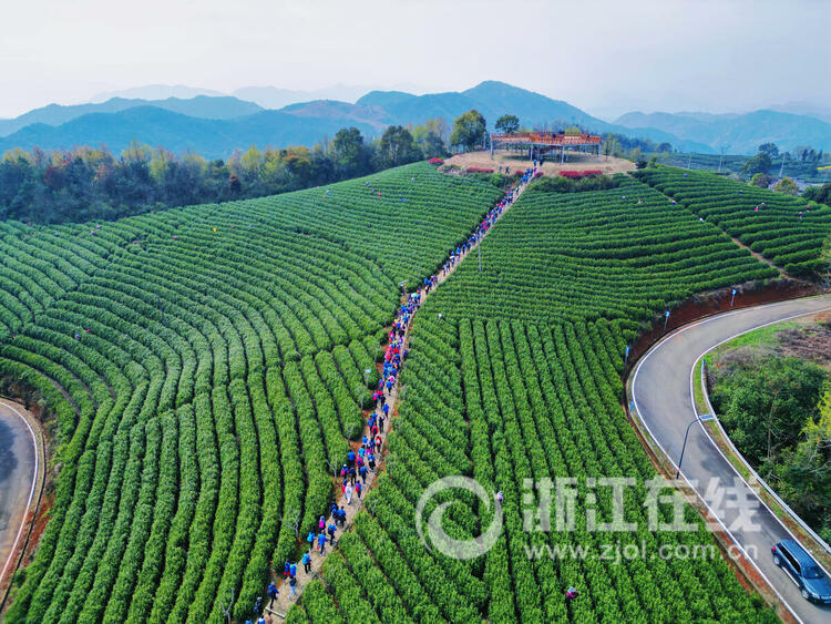 徜徉花海 感受春色_fororder_W020230327296368152309