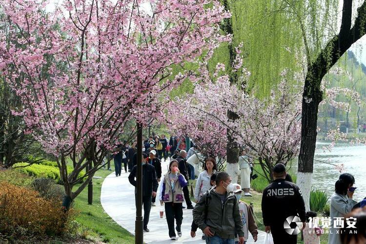 兴庆宫公园花如海 人似潮