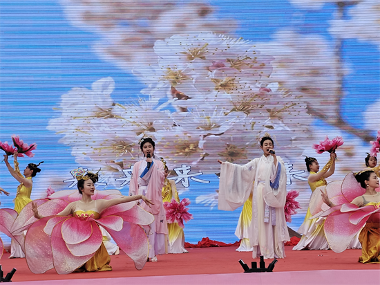 Let's Experience the Beauty of Cherry Blossoms in Full Bloom at Dalian's Lyushun_fororder_辽宁1