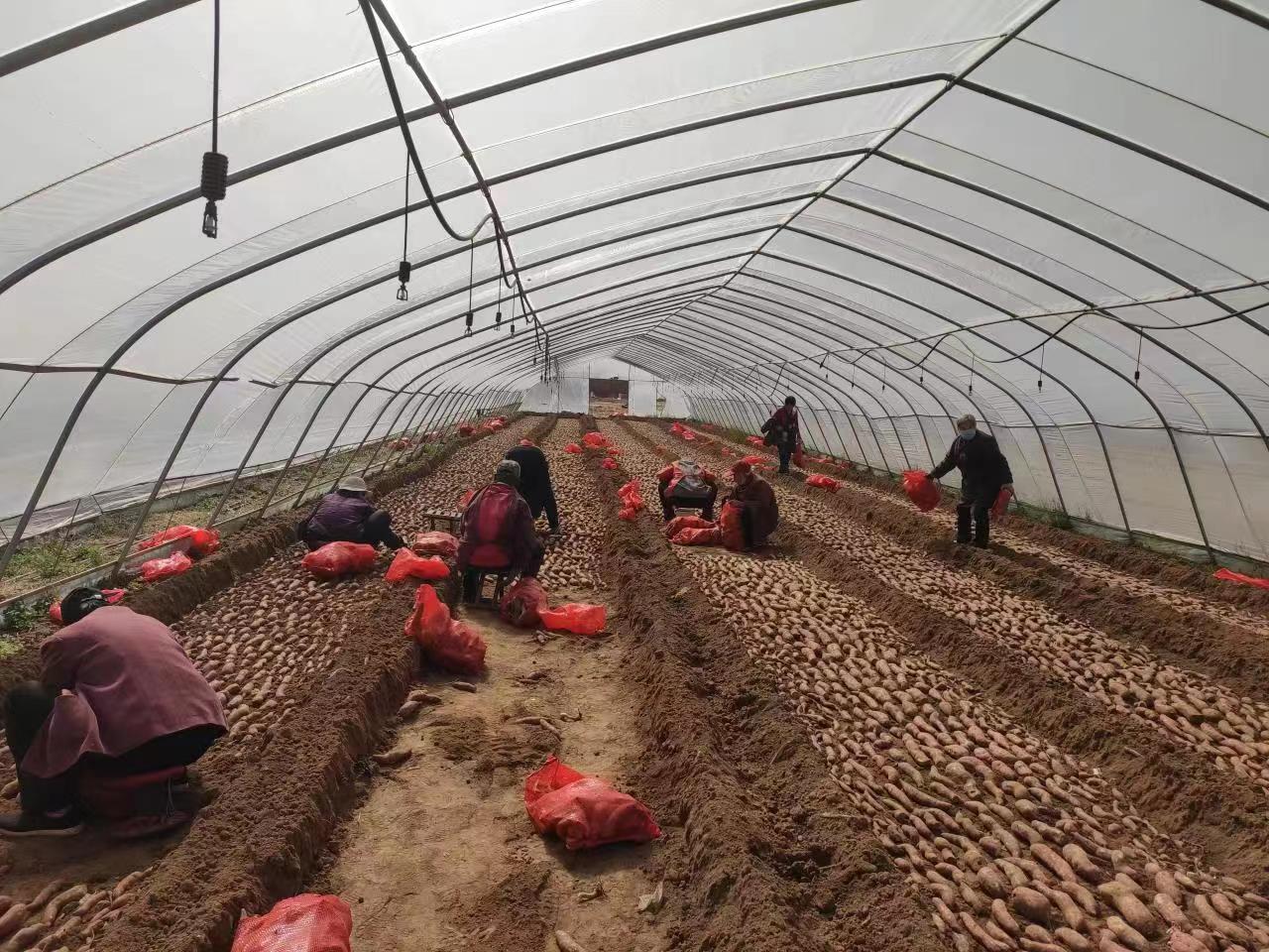 图片默认标题_fororder_40