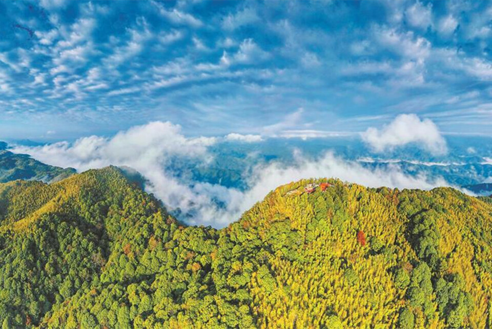 福建：深化改革，“两山”转化路更宽_fororder_0cbcd237-a3b6-40bd-82cb-e4d817e08daa