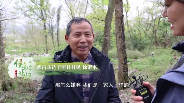 大美中国 候鸟北归丨苍鹭“衔”来的村庄