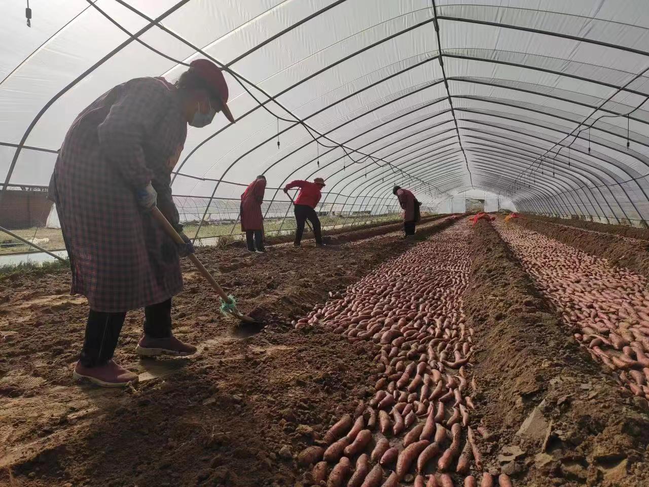 图片默认标题_fororder_38