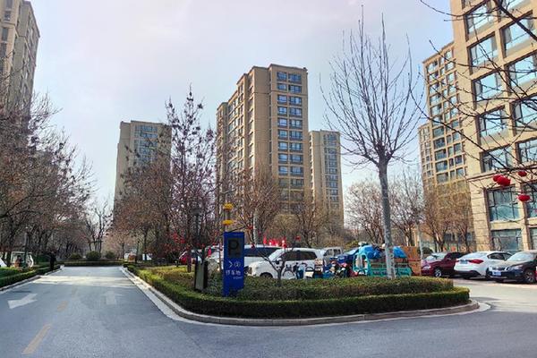跨村去种地 互补促双赢——山东寿光屯田西村发展见闻