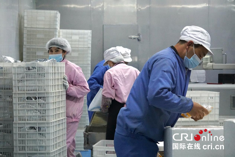 黄河岸边景色新 多国“Z世代”青年共绘古城多彩画卷_fororder_图片44