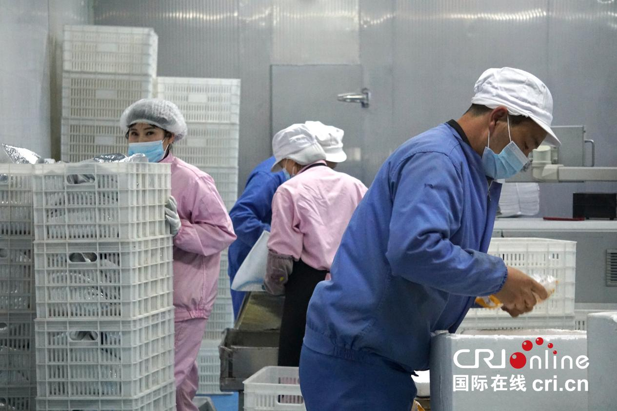 黄河岸边景色新 多国“Z世代”青年共绘古城多彩画卷_fororder_图片44