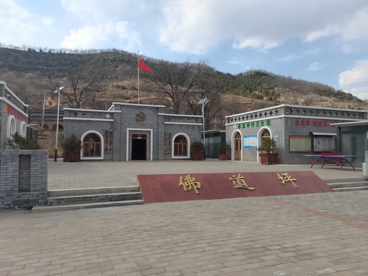 多国青年变身“乡村体验官” 感受延安乡村发展新面貌_fororder_图片80