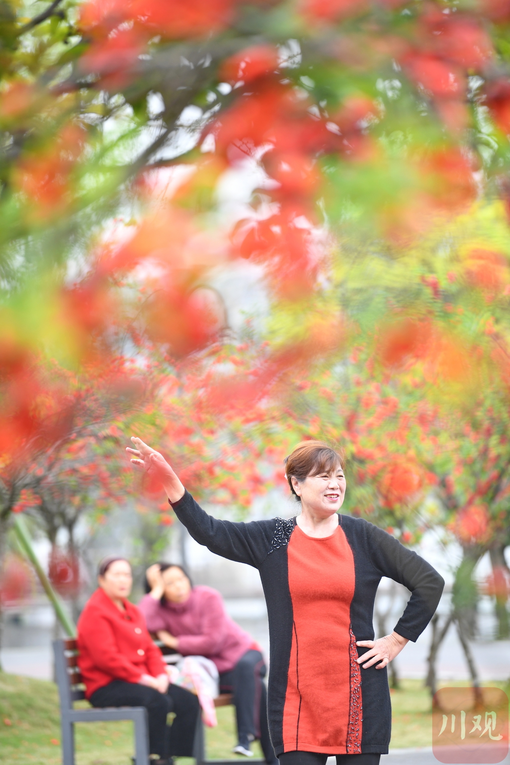 （转载）图集丨四川成都：“拥抱”春天 人在“画”中“游”