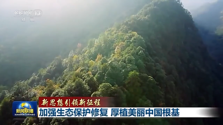 新思想引领新征程丨加强生态保护修复 厚植美丽中国根基
