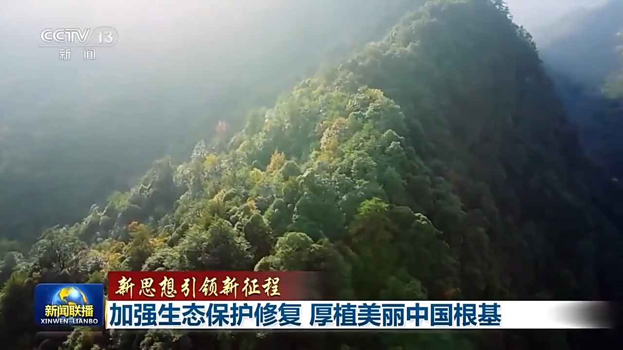 新思想引领新征程丨加强生态保护修复 厚植美丽中国根基