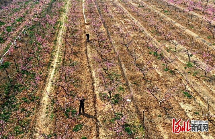 图片默认标题_fororder_hebnewsimg (3)