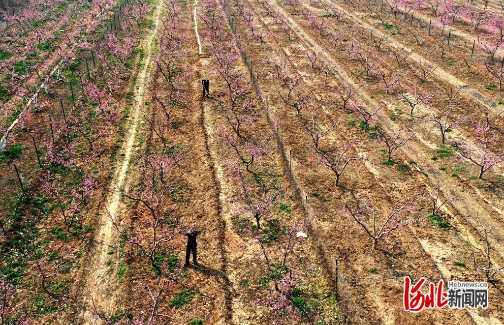 图片默认标题_fororder_hebnewsimg (3)
