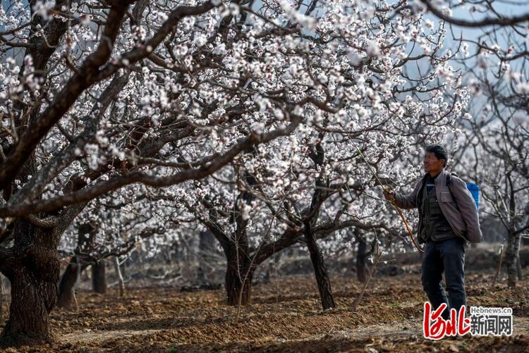 图片默认标题_fororder_hebnewsimg (1)