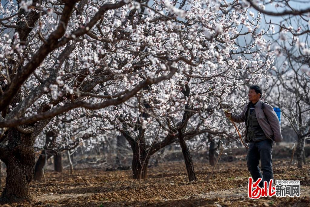 图片默认标题_fororder_hebnewsimg (1)