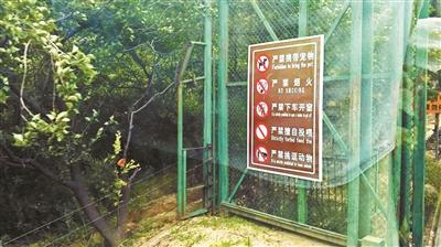 动物园遇虎袭游客家属委托6律师协商 提多点质疑