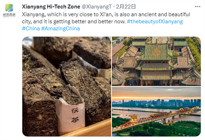 开通一周年 多位“大咖”点赞关注！咸阳高新区海外账号向世界呈现精彩高新_fororder_图片23