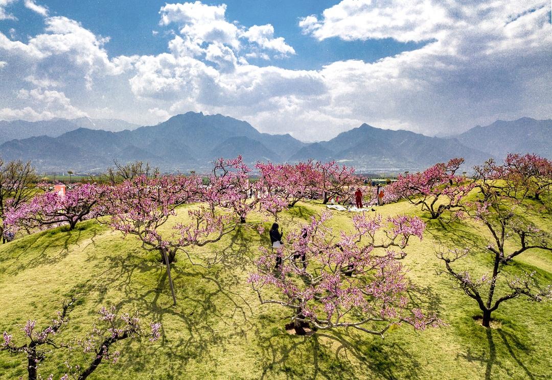 “农业景区”美了乡村 鼓了百姓“钱袋子”