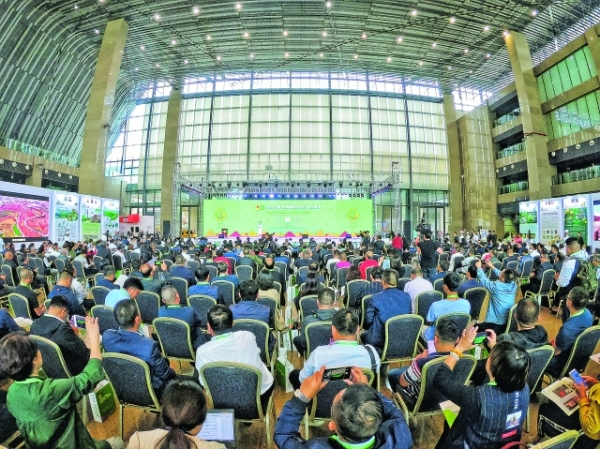 2019中国·贵阳国际特色农产品交易会开幕