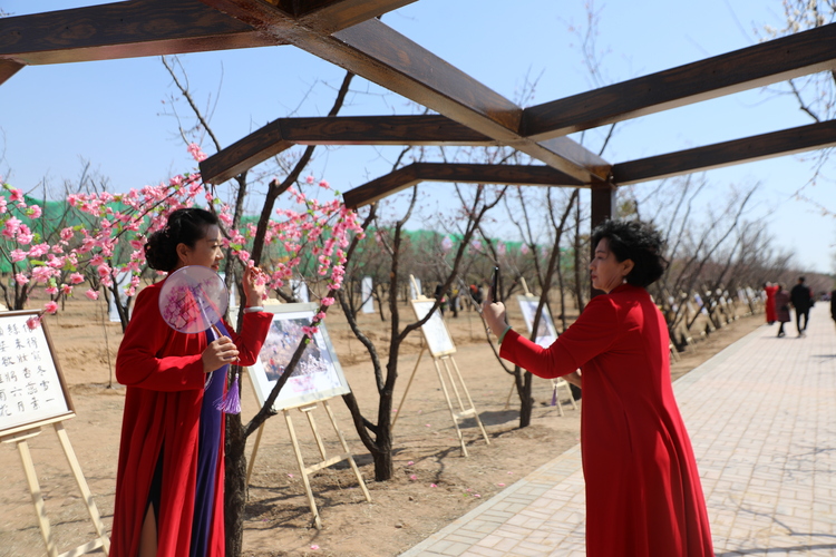 赏杏花  品非遗 游黄河 内蒙古准格尔只等你来_fororder_微信图片_20230409172128
