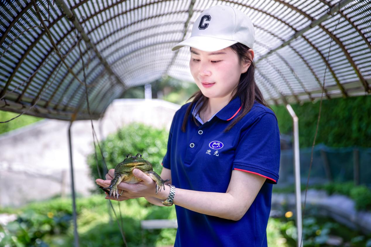 “女蛙王”郭艳红：16年专注美蛙养殖 带动乡亲致富_fororder_郭