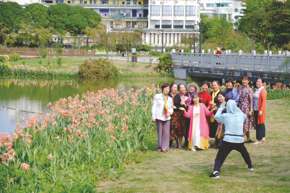 南宁：美人蕉花开那考河南湖花海等你来