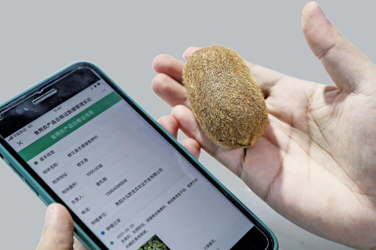 贵阳贵安：数字化加持 激活实体经济发展新动能 高伟