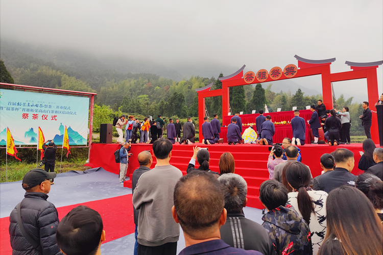 福建柘荣高山白茶正式开市交易_fororder_图片2