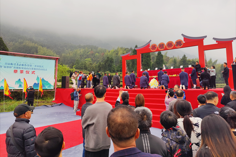 福建柘荣高山白茶正式开市交易_fororder_图片2