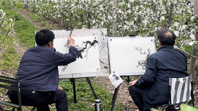 宝鸡千阳县举办第四届苹果赏花节_fororder_图片3