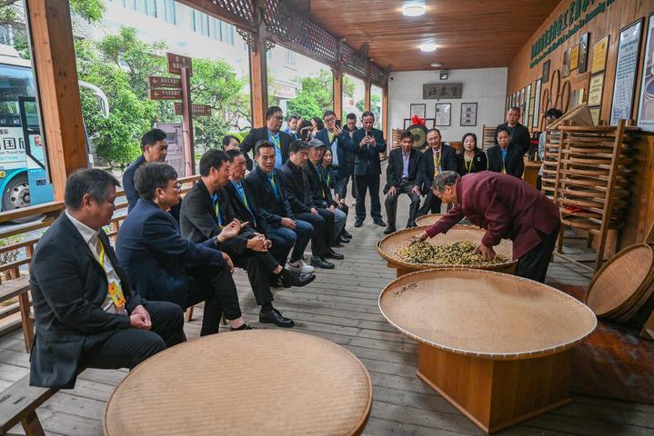 千年闽茶出海忙