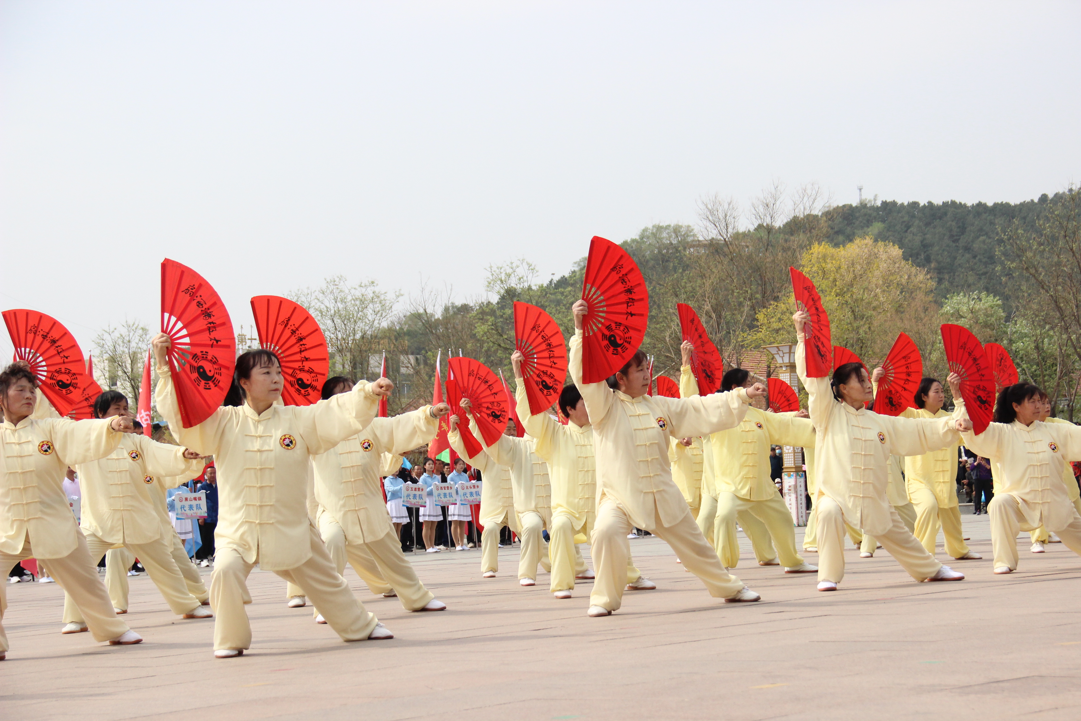 图片默认标题_fororder_太极扇节目 李佳园摄.JPG